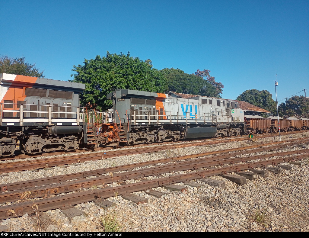VLI 6044